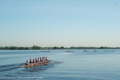 OC&C Ringvaart Regatta 2011 | Various