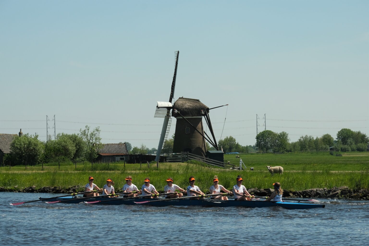 Diede van wijk Nereus