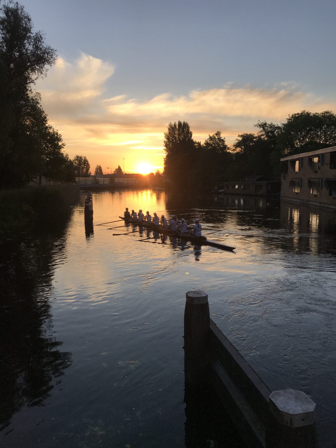 Rijnmond- Therese Brans2
